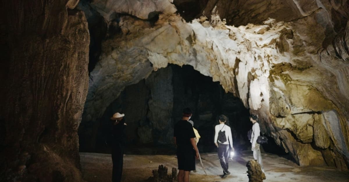 Scientists Find 11 New Species in Cambodia Caves